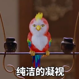 苍梧鸟带字图片表情包大全