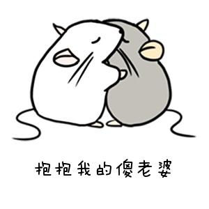 两只老鼠微信表情包情侣必备恩爱表情图片