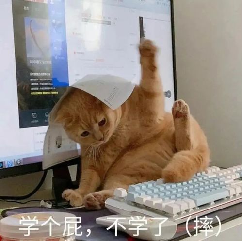 大学专业吐槽大会,你的专业上榜了吗