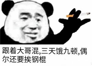 跟着大哥混,三天饿九顿,偶尔还要挨钢棍熊猫头社会语录表情包饿九顿钢棍语录熊猫表情
