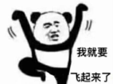 无水印熊猫头怼人专用表情包你喊我做大哥,我教你输中分