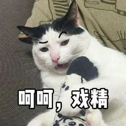 我就知道今年最火的表情是ta,你没用过算我输
