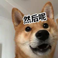 跟你超配的沙雕表情包
