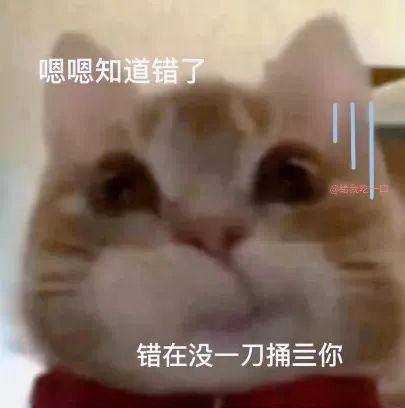 最新歪嘴猫自怕表情