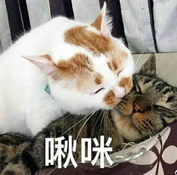 001章穿越