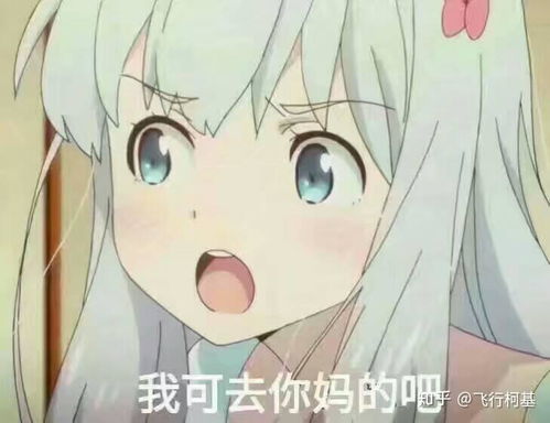 你有多喜欢f1,f1对于你来说有多重要