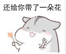 暴露年龄谁说情怀已死这几款游戏里绝对有忘不掉的青春热血
