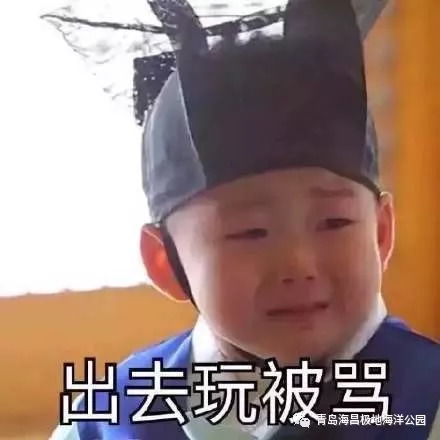 丑鸭子表情包嫌弃