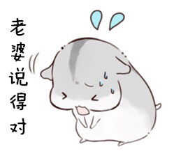 小仓鼠的爱老婆表情包