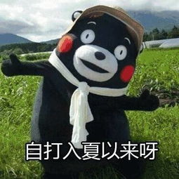 避暑首选千岛湖文渊狮城,简直美哭了,更有千岛湖绿道骑行哦