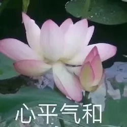 上次出镜被雷劈,这次打伞被吹烂哈哈哈这简直是史上最惨主持人
