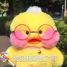 可爱鸭图片,当头像,微信背景图,表情包,都没有问题