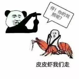 皮皮虾表情包原图下载皮皮虾系列最全表情包合集