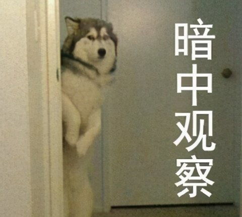 梦幻西游的牧场玩法为何老被策划追着砍