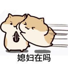 哄媳妇表情包美好的一天从爱老婆开始,思念成疾