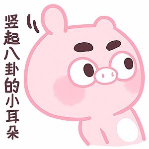 微信表情丨小猪猪臭宝5危险危险危险