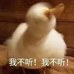 表情包大兄弟,喜脉啊