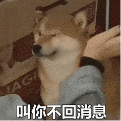 搞笑gif趣图我可怜的狗子呀,你到底经历了什么