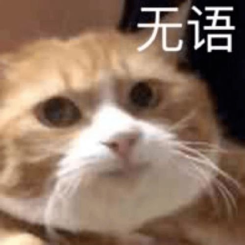 和皇艺擦肩而过,希望你们不会经历