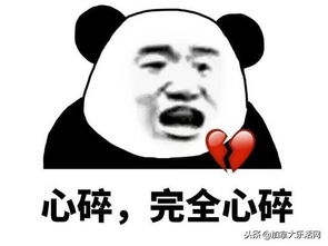 加拿大邮政终于要停止罢工了终于可以放心买买买了