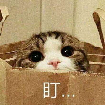 2021考研大纲会在七月发布吗你了解多少一起来看