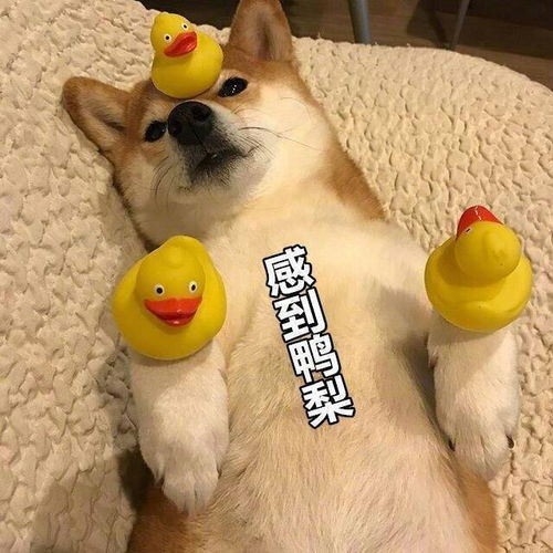 请问实习工资高低重要吗