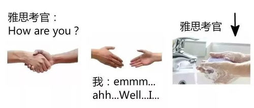 2019表情包图片大全年终总结