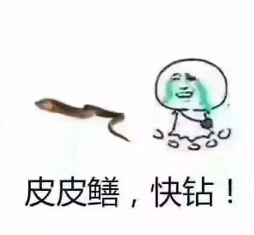 女主播为了博取关注度,竟然用黄鳝