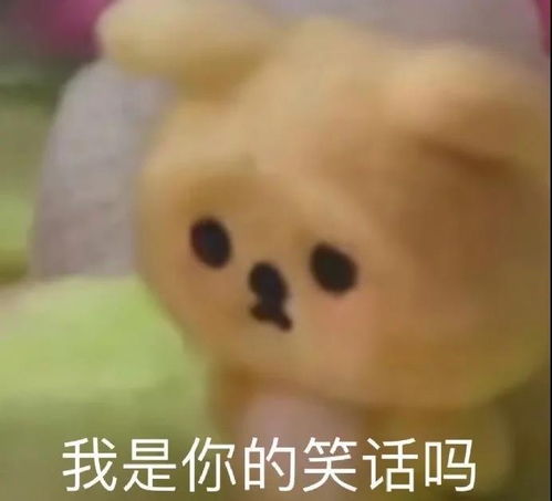 求助怎么加帅哥的vx