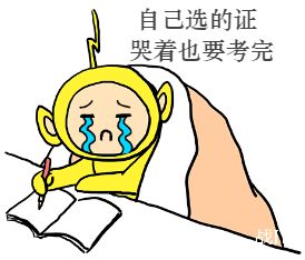it领域认证大全