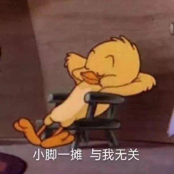 搞笑gif你们老实交待,到底是谁把家祸害成这样