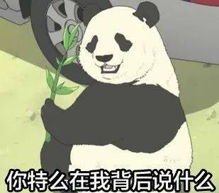 熊猫头表情包i跟我没关系...
