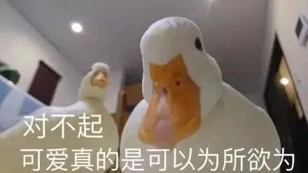 点击收获一大波可爱事物,每一个都想rua