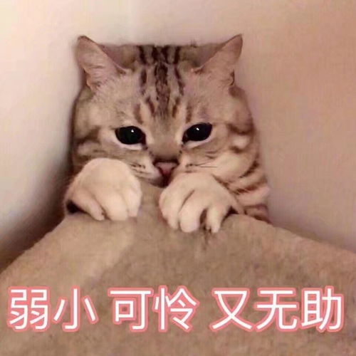 我们为什么要学习英语