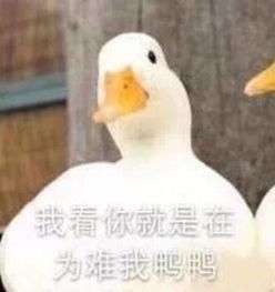 一年一度的中元节到了每日轻松一刻8月25日晚间版