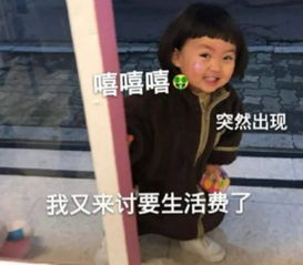 非法吸存过亿情夫落网,情妇带私生子到海口读贵族学校丨海上夜闻