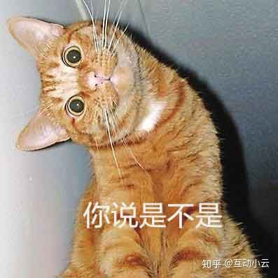 独居食谱
