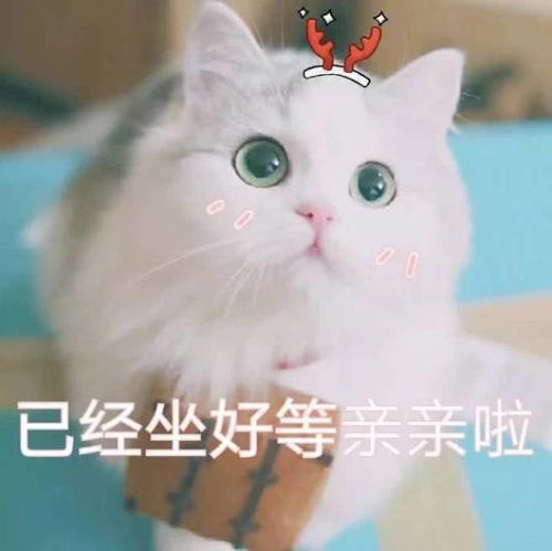 给大家来一组敲可爱的表情包
