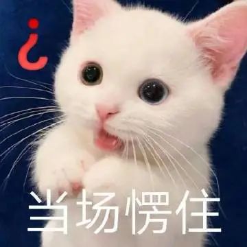 就你妈斜门没门第240期喵表情