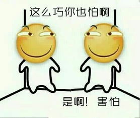 网站没人看怎么办,鸿萌给你几个小妙招