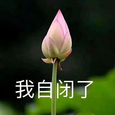 茄子柜子动了表情包表情包