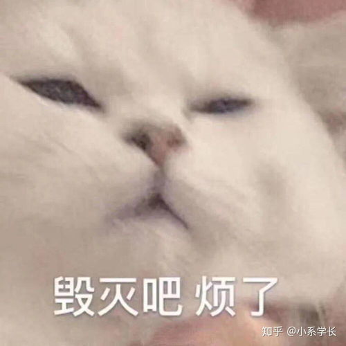 对于高中生来说,什么是假装努力