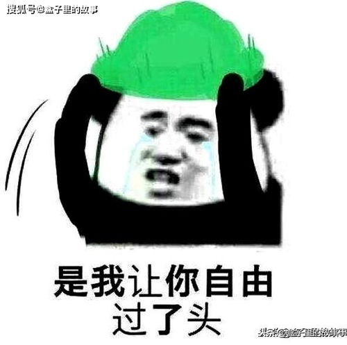 小说里用烂了的十大老梗,重生复仇替身受虐狂女主和痴情男配