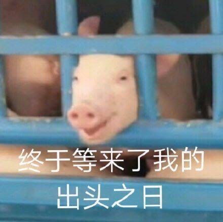 广东人硬是把剧本杀玩成了朗读比赛