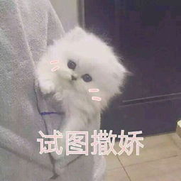女孩萌萌哒表情包