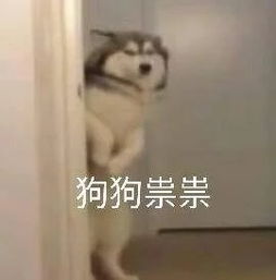 出来抓一波