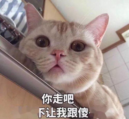 微信朋友圈背景图
