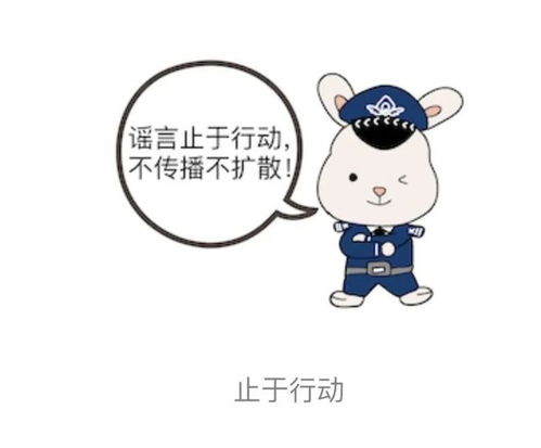 网安兔第二弹来袭,这套表情包请查收