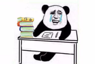 自考都能考100分的人会有怎样的命运