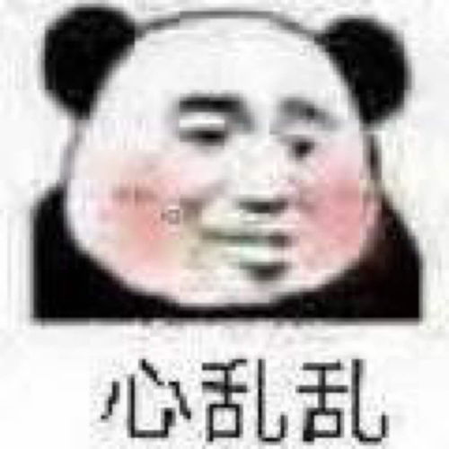 皮收藏夹